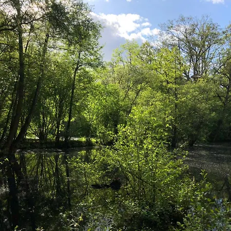 ベッド・アンド・ブレックファスト Domaine Des Vaulx - Locations De Insolites La Baconniere