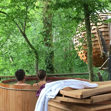 Domaine Des Vaulx - Locations De Insolites Bed and breakfast La Baconniere
