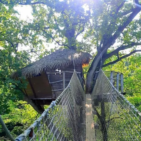 Domaine Des Vaulx - Locations De Insolites Bed and breakfast *