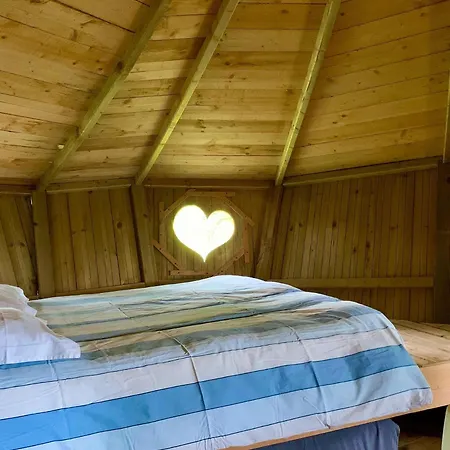 Domaine Des Vaulx - Locations De Insolites Bed and breakfast *