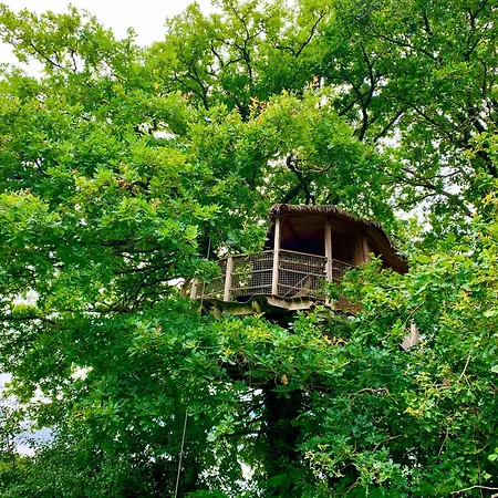 Domaine Des Vaulx - Locations De Insolites ベッド・アンド・ブレックファスト La Baconniere