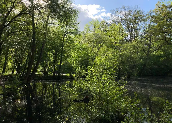 B&B Domaine Des Vaulx - Locations De Insolites La Baconniere