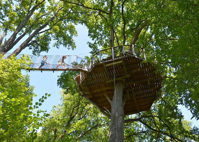 B&B Domaine Des Vaulx - Locations De Insolites La Baconniere