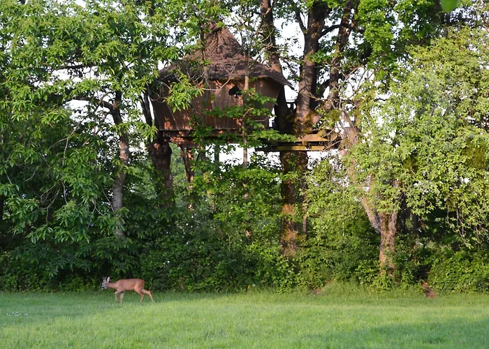 Domaine Des Vaulx - Locations De Insolites