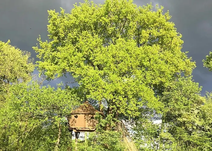 Domaine Des Vaulx - Locations De Insolites B&B La Baconniere