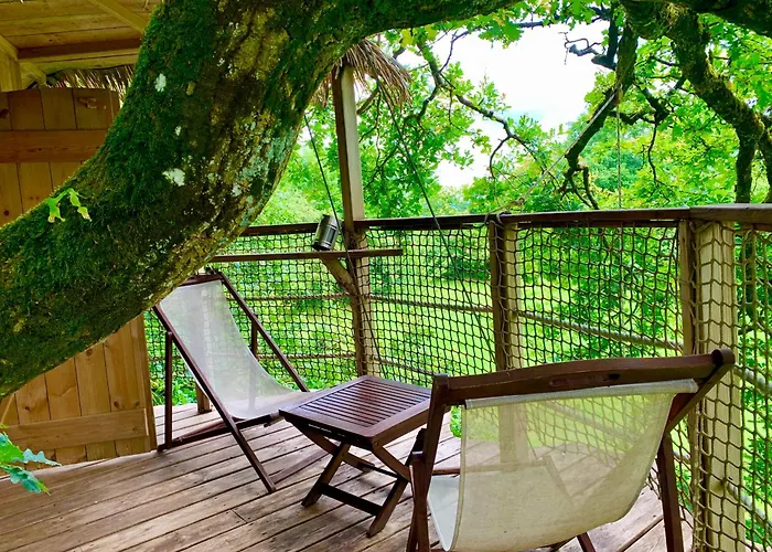 Domaine Des Vaulx - Locations De Insolites La Baconniere