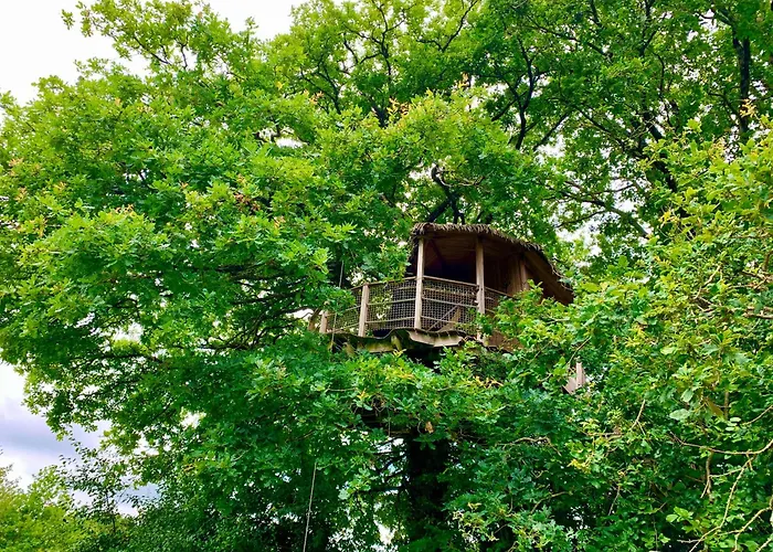 Domaine Des Vaulx - Locations De Insolites B&B La Baconniere